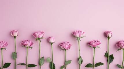 Obraz premium A minimalist composition featuring a border of purple roses, elegantly arranged with plenty of white space for copy. This image conveys a sense of beauty and simplicity, ideal for a variety of design