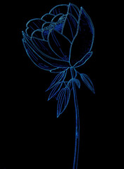 Flower in blue light on black background. Vector illustration