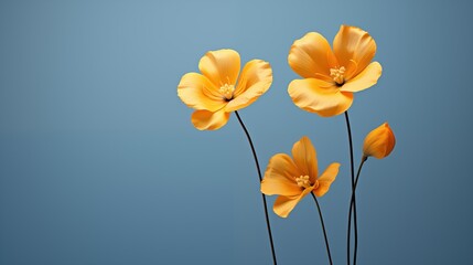 Obraz premium A beautiful minimalist arrangement of vibrant yellow flowers against a soft blue background. The flowers have delicate petals and are positioned at varying heights, creating an elegant composition.