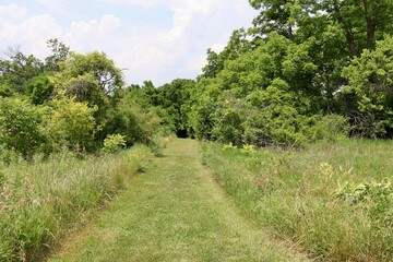 The empty grass path in the country field on a sunny day.