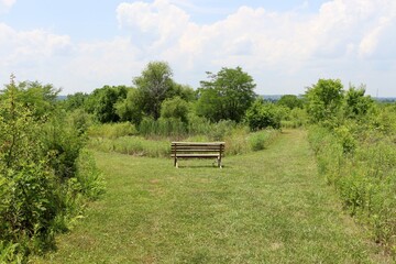 The empty wood bench in the country field at the park.