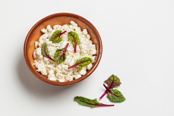 Homemade cottage cheese  with fresh chard in bowl isolated on white background, top view with copy space