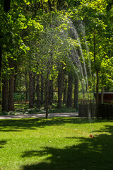 Flying splashes of water on green grass. Automatic sprinkler Irrigation system for watering a lawn