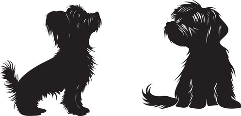 Maltese small cute dog black silhouette