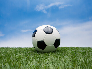 Fototapeta premium isolated image of a Soccer Ball