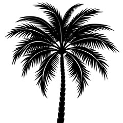 silhouette-of-a-tall-palm-tree silhouette vector image 