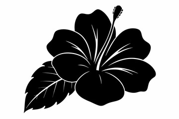 Hibiscus flower vector silhouette, hibiscus icon, Tropical hibiscus bloom silhouette
