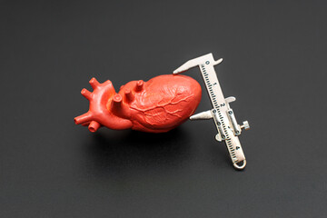 Detailed Heart Model Measured By Caliper Tool In Dark Setting