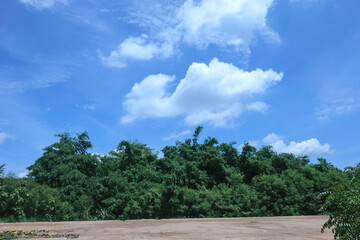 Fototapeta premium A landscape image of a green forest in a blue sky with beautiful white fluffy clouds.