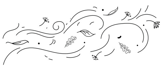 Doodle air wind and flying autumn leaves in hurricane blow or windy storm, line vector. Cartoon autumn wind with oak and maple leaf of fall season in blowing.vector eps10
