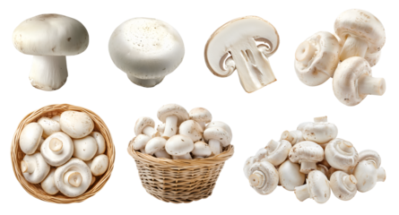 White champignon button Agaricus bisporus mushroom fungus fungi vegetable, many angles and view side top front basket slice isolated on transparent cutout, PNG file. Mockup template for artwork design