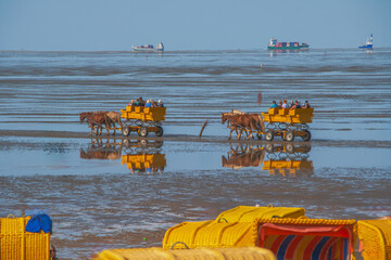 Pferdekutschen im Watt in der Nordsee zur Ebbe