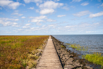 Fototapeta premium Damm an der Wurster Nordseeküste
