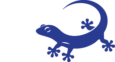 gecko on a white background