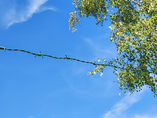 Serene Sky and Barbed Wire Contrast