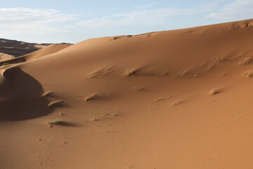 Sahara dunes,near Morocco, North Africa