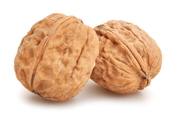 walnuts path isolated on white