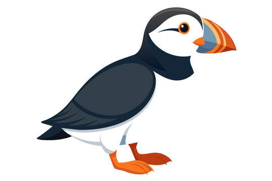 recommend clip art: Cute atlantic puffin bird vector art illustration