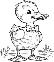 Duck Coloring Pages- Duck for children colouring activity