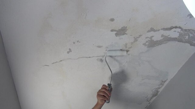 Close up view of craftsman painting damaged leaky ceiling roof with a paint roller.