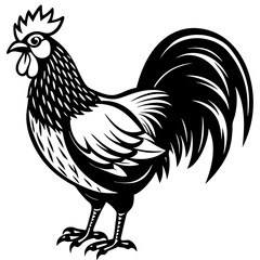 Rooster isolated vector file logo design	