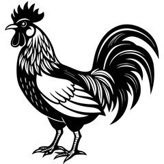 Rooster isolated vector file logo design	