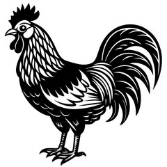 Rooster isolated vector file logo design	