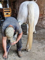 Farrier working at shoeing a horse. Blacksmith prepares the hoof for shoeing in a sunny day. He...