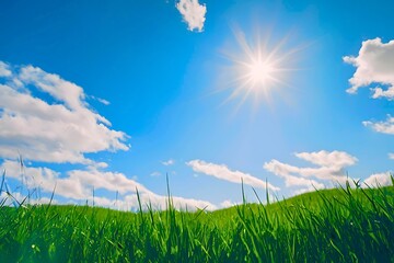 beautiful scenery in the blue sky green meadow. There is bright sunlight, bright colors, Nostalgia style, making you think of the past.