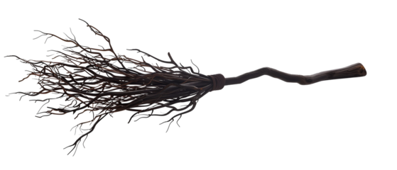 Magic and black Witch broom