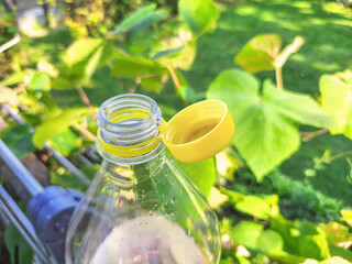Close-up of an open glass bottle with a yellow cap, set against a vibrant green garden backdrop