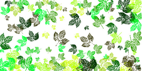 Fototapeta premium Maple leaves. Autumn background with maple leaves flying and falling from the tree. Orange design for autumn design. EPS10