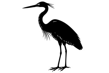 Silhouette of a heron on a white background