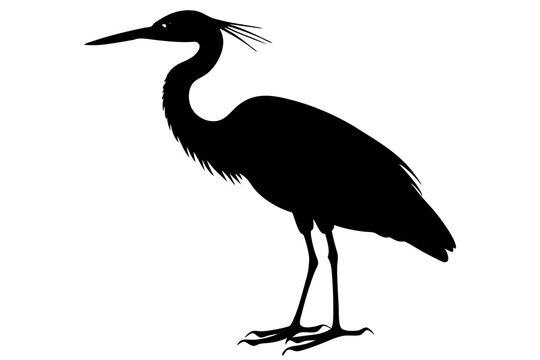 recommend clip art: Silhouette of a heron on a white background