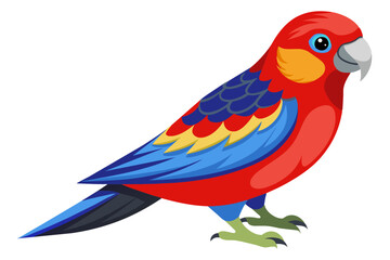 Eastern rosella vector art illustration 