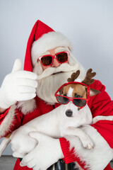Portrait of santa claus in sunglasses and dog jack russell terrier in rudolf reindeer ears on a white background. 