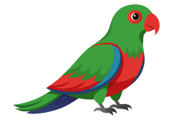 Eclectus parrot vector art illustration