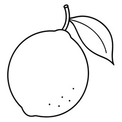 illustration of a fruit