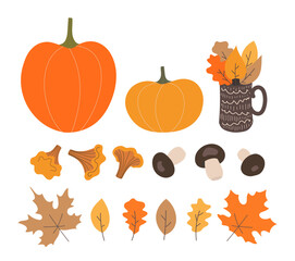 Set of autumn design items, items for thanksgiving day.