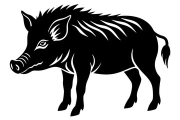 The whole body of the wild boar is the white background