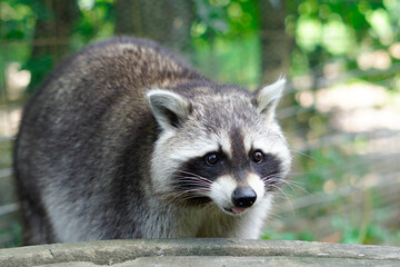 Kroatien - Roadtrip 2024 © Martin