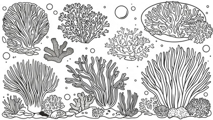 Coloring page, corals, underwater world design