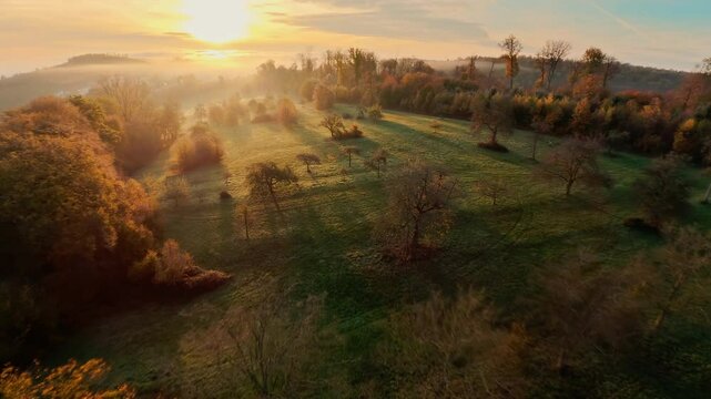 Flying fast over idyllic rural landscape towards the rising sun. FPV drone moving low by the beautiful trees in gold morning light and mist

