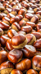 Obraz premium bunch of chestnut, horisontal, background and foreground