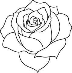 rose on white line art background