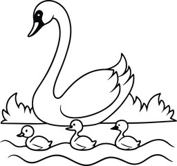 swans on the water with baby swim 