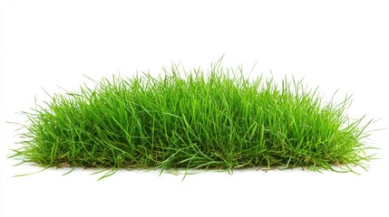 Lush Green Grass Patch Isolated on White Background