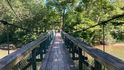 Obraz premium Toll bridge surrounded by trees