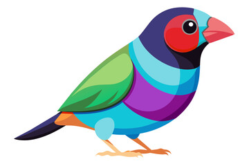  Gouldian finch bird vector art illustration