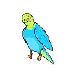 Pixel art blue parakeet illustration